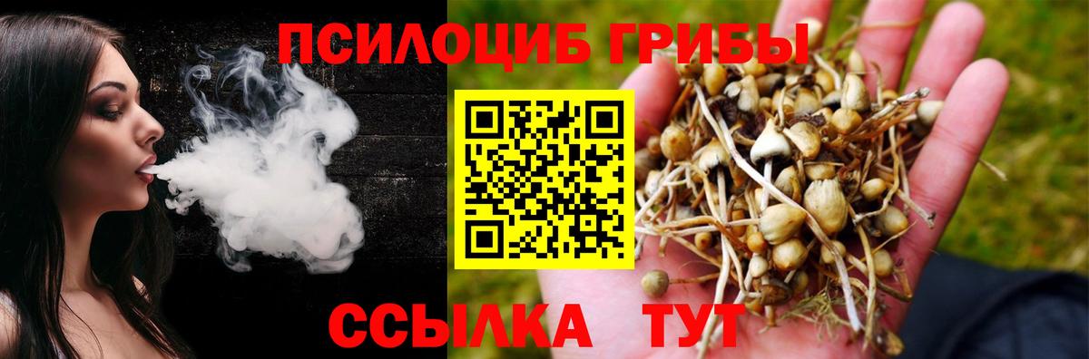 Губаха  Псилоцибиновые грибы ЛСД  Вход с VPN  Галлюциногенные грибы прущие грибы 